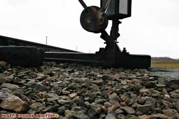 IMG_ (11473)